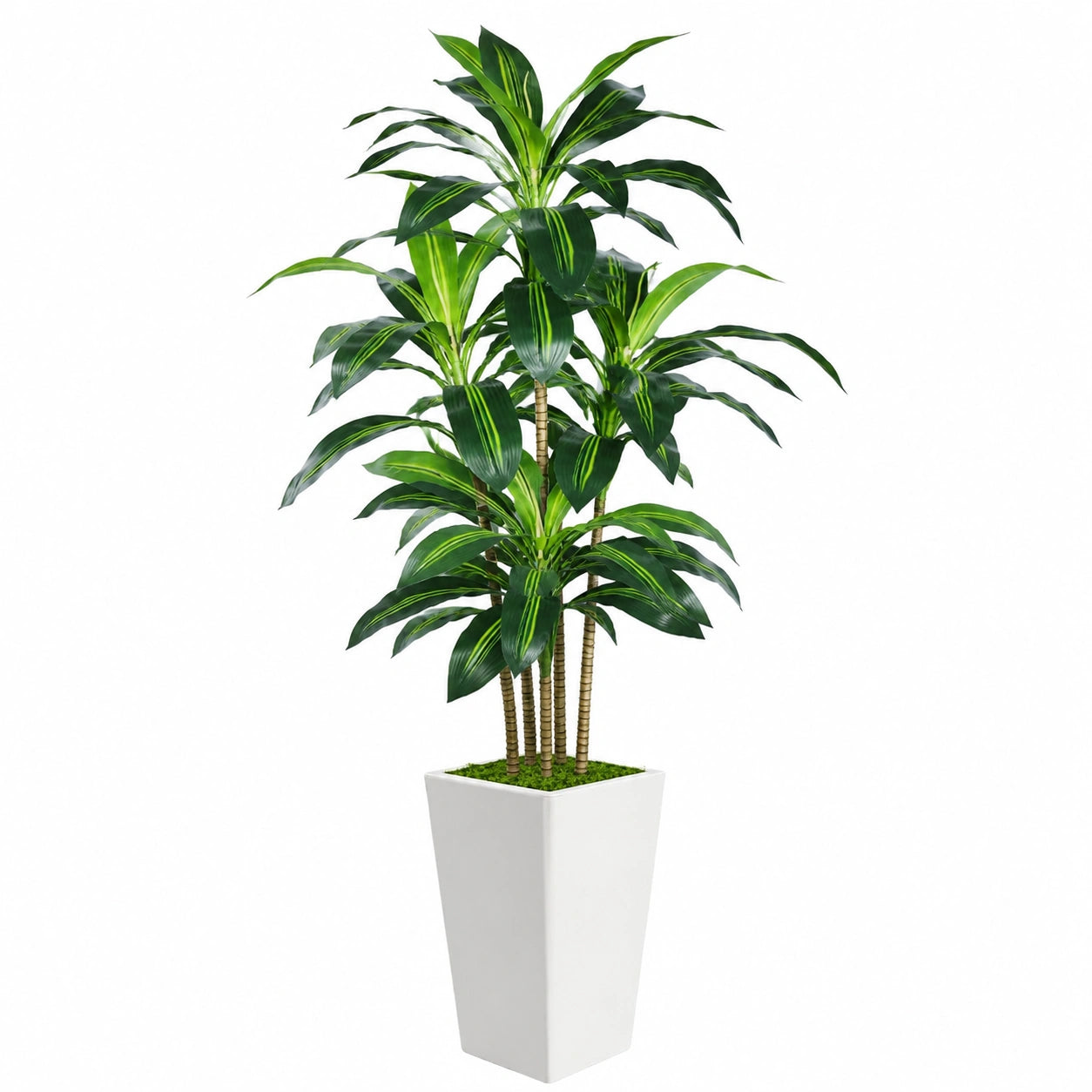 Plante artificielle Dracaena 180 cm en plastique vert avec pot blanc pour intérieur